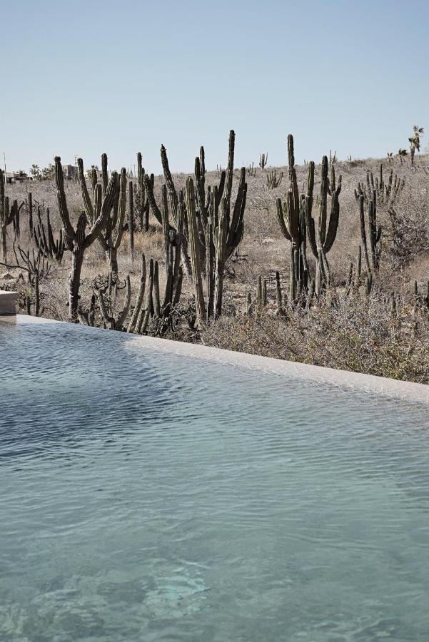Desierto Azul Hotel Todos Santos Luaran gambar