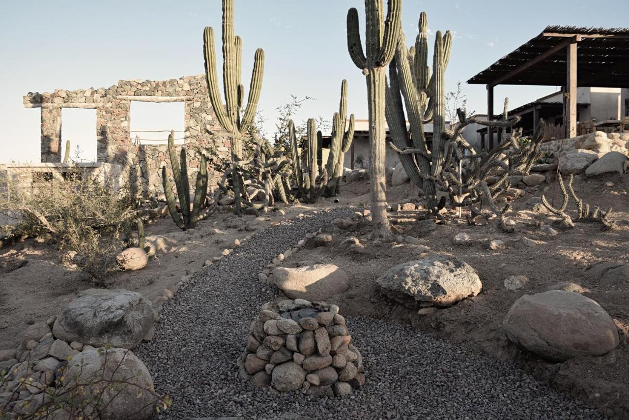 Desierto Azul Hotel Todos Santos Luaran gambar