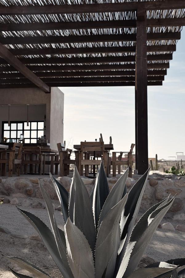 Desierto Azul Hotel Todos Santos Luaran gambar